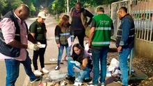 Dagma lanza nuevas temáticas en su ‘Línea Eco’
