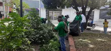 Dagma lanza nuevas temáticas en su ‘Línea Eco’