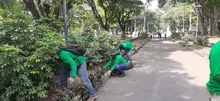 Dagma lanza nuevas temáticas en su ‘Línea Eco’