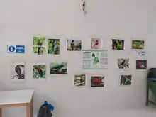 Verde que te quiero verde, una iniciativa ciudadana por el corregimiento de la Leonera