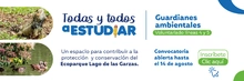 Banner Lago de las garzas