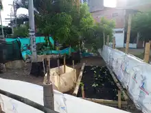 Semilla de Amor construye tejido social en Llano Verde