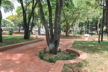 Entregan parcialmente obras del Paseo Bolívar, fase III del Parque Central río Cali