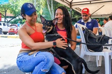 Caleños siguen adoptando a los seres sintientes más vulnerables