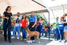Caleños siguen adoptando a los seres sintientes más vulnerables