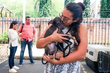 Caleños siguen adoptando a los seres sintientes más vulnerables