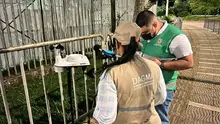 Los niveles de ruido en el Festival ‘Petronio Álvarez’ estarán monitoreados por el Dagma