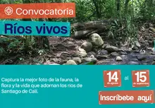 Convocatoria Ríos Vivos 2023