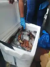 Dagma hace pedagogía y ejerce autoridad para que en el ‘Petronio’ no se comercialicen especies de fauna silvestre