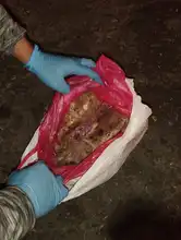 Dagma hace pedagogía y ejerce autoridad para que en el ‘Petronio’ no se comercialicen especies de fauna silvestre