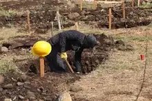 Continúa instalación de zapatas en ‘Corazón de Pance’