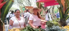 Los Mercados Campesinos, a tono con la marimba, el cununo y el guasá 