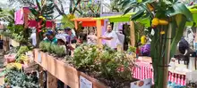 Los Mercados Campesinos, a tono con la marimba, el cununo y el guasá 