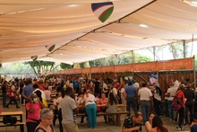 El Festival Petronio Álvarez un camino al éxtasis 