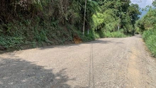 Mejoran vías terciarias en el corredor La Vorágine – Pueblo Pance