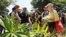El cine es semilla en nuestro jarillón