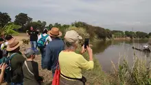 El cine es semilla en nuestro jarillón