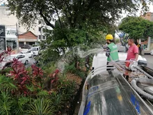 Avanza el mantenimiento de jardines en Cali