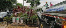 Avanza el mantenimiento de jardines en Cali