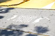 Acción conjunta por el cuidado de la vida de adultos mayores en las vías