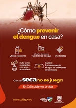 En temporada seca aumenta la proliferación del zancudo Aedes aegypti