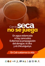 En temporada seca aumenta la proliferación del zancudo Aedes aegypti