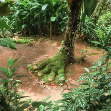 Bichacueth Yath, todo un santuario de arte y naturaleza en Cali