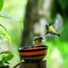 Bichacueth Yath, todo un santuario de arte y naturaleza en Cali