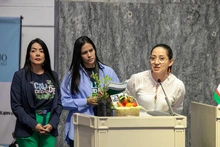 Radicado el proyecto de Acuerdo para la creación del Sistema Distrital de Huertas Agroecológicas 