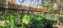 Avanza la renaturalización del ‘Proyecto Integral Cristo Rey’