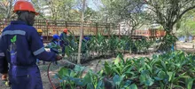 Avanza la renaturalización del ‘Proyecto Integral Cristo Rey’