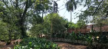 Avanza la renaturalización del ‘Proyecto Integral Cristo Rey’