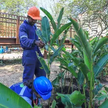 Avanza la renaturalización del ‘Proyecto Integral Cristo Rey’