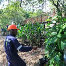 Avanza la renaturalización del ‘Proyecto Integral Cristo Rey’