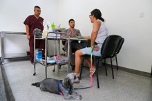 Futuros médicos veterinarios realizan prácticas profesionales en el Centro de Bienestar Animal de Cali