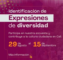 Encuesta Diversidad Cultural