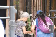 El Cotsa impacta a Floralia en jornada de prevención contra el dengue