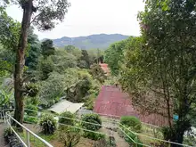 Descubre uno de los paraísos naturales en el corregimiento La Elvira