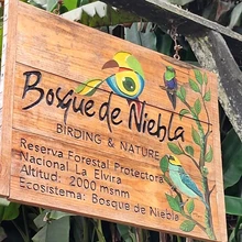 Descubre uno de los paraísos naturales en el corregimiento La Elvira