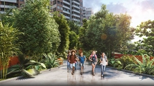 14 PASARELA CORREDOR BIOLOGICO JARDINES AROMATICOS