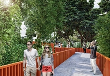 22_SENDERO ENTRE BAMBU