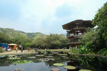 Jardín Botánico de Cali, un nuevo atractivo natural en la ‘sucursal del cielo’ 