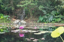 Jardín Botánico de Cali, un nuevo atractivo natural en la ‘sucursal del cielo’ 