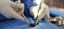 Animales de Pance fueron esterilizados durante jornada en La Vorágine