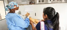 Animales de Pance fueron esterilizados durante jornada en La Vorágine