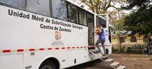 Animales de Pance fueron esterilizados durante jornada en La Vorágine