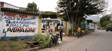 Animales de Pance fueron esterilizados durante jornada en La Vorágine
