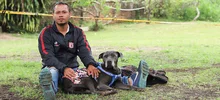 Animales de Pance fueron esterilizados durante jornada en La Vorágine