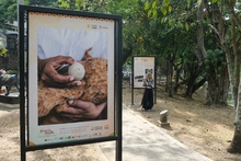 Exposición fotográfica Barrio Adentro