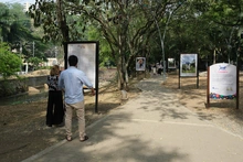 Exposición fotográfica Barrio Adentro